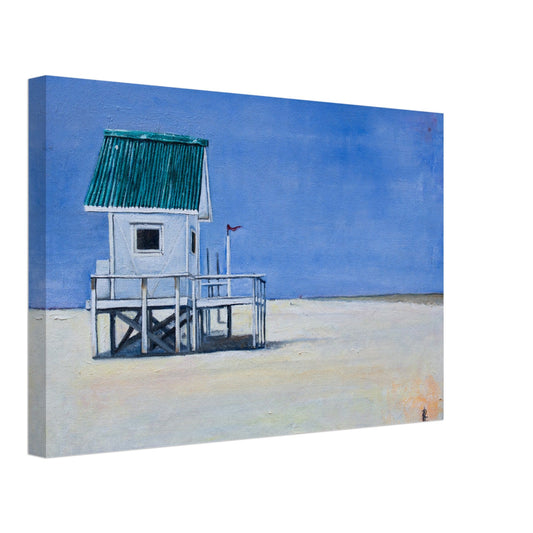 Canvas Prints